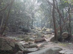 索道下的小路-普陀山风景区-佛顶山