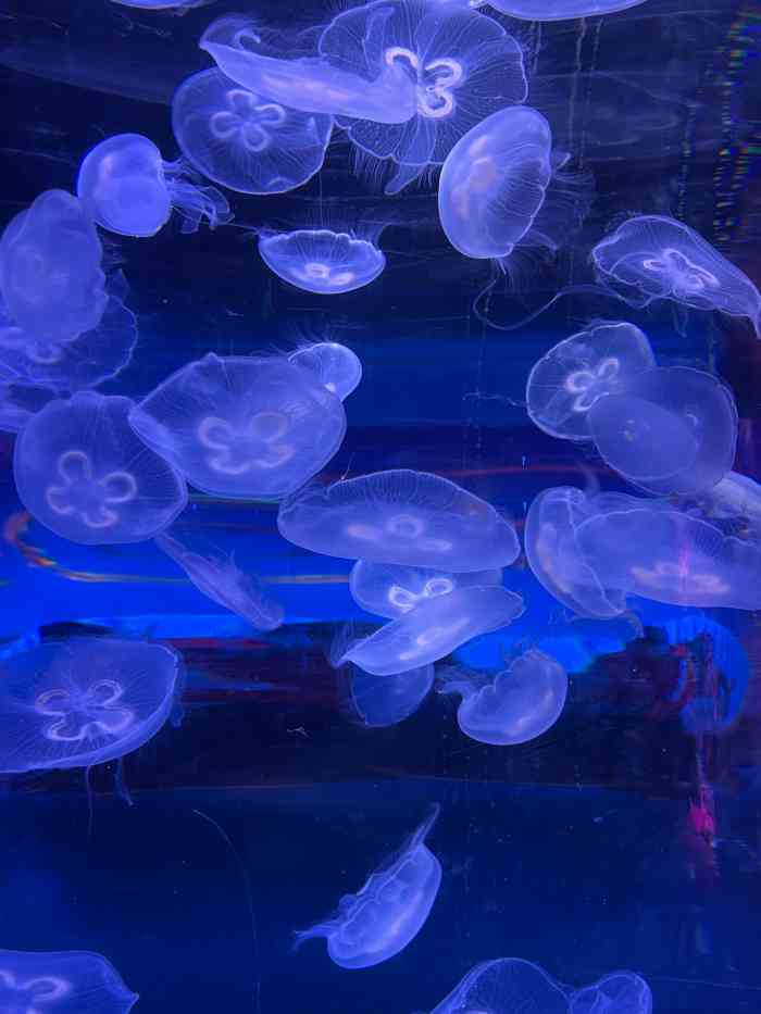 南京金鹰动物世界-"金鹰世界的室内动物园,地方不大,一两个小.