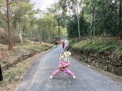 -东明山森林公园