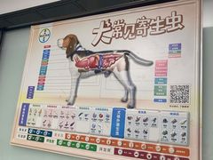 -半岛宠物医院24小时(科华中路店)