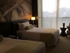 -国家会议中心大酒店