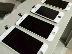 -Apple Store苹果手机电脑售后维修中心(浦东店)