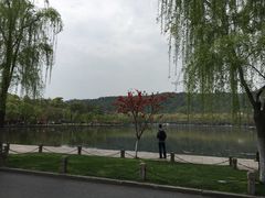 -苏堤停车场