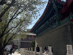 -古文化街旅游区
