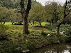 -杭州植物园