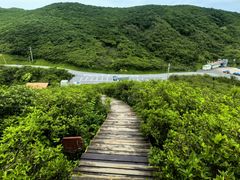 -大围山国家森林公园