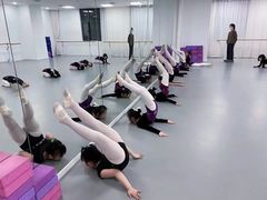 -西安小天鹅艺术团(金花路校区)