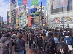 -涩谷全向十字路口
