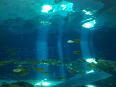 -福州罗源湾海洋世界旅游区