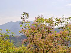 -周口店坡峰岭风景区