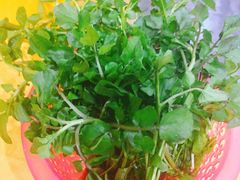 -濠轩阁特色生蚝火锅(水湾路店)
