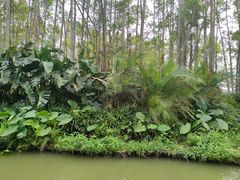 -江门古劳水乡旅游区