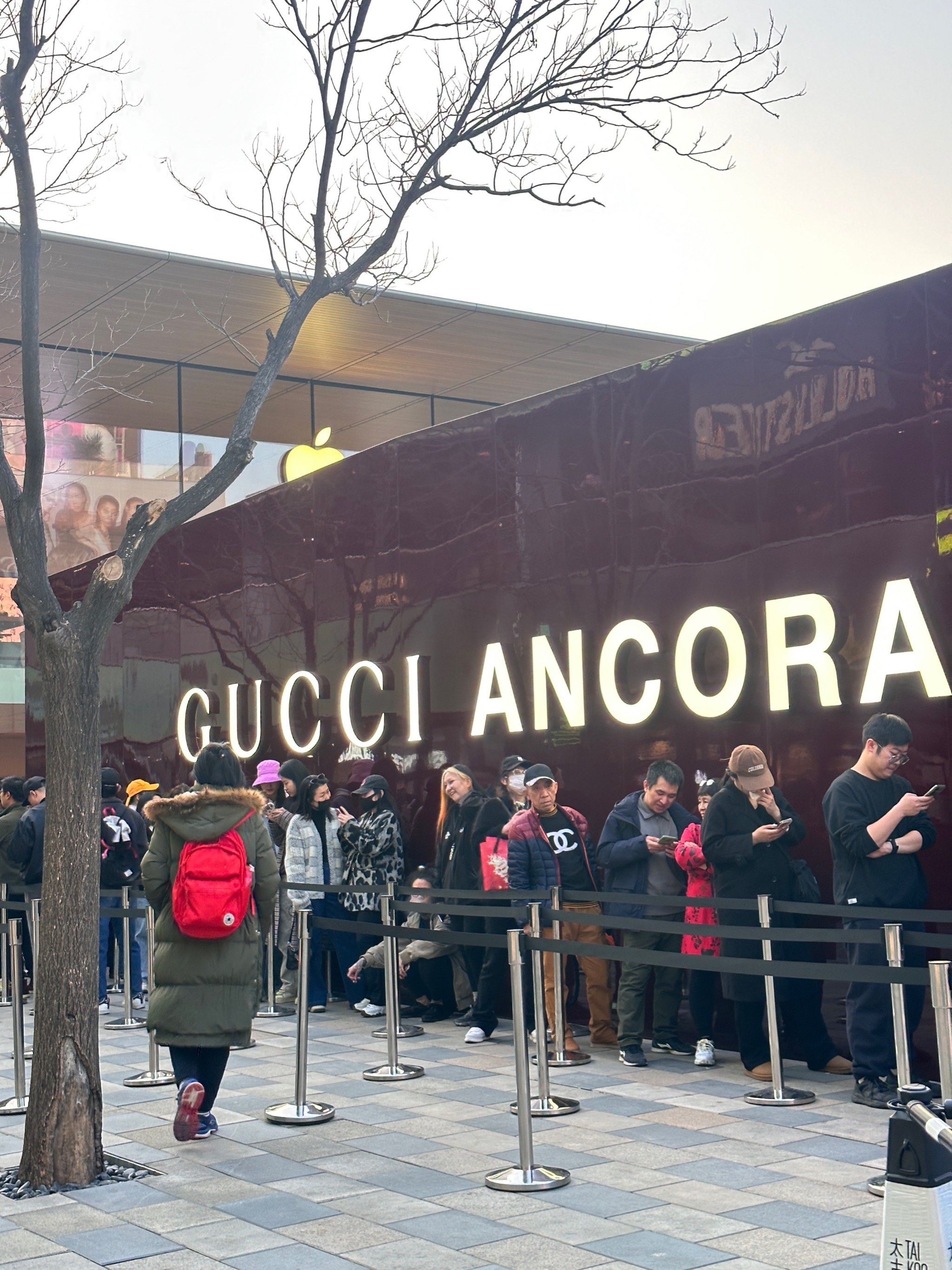 gucci限时快闪的咖啡喝到啦!