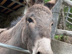 -白草畔自然风景区