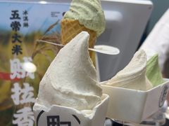 -野人先生现做冰淇淋(西安赛格店)