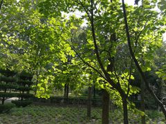 -洛阳市隋唐城遗址植物园
