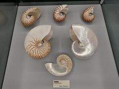 -天津古林古海岸遗迹博物馆