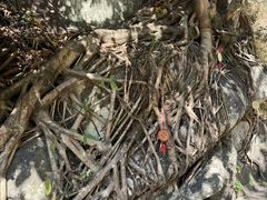 -苍山世界地质公园·石门关大峡谷