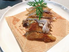 -悦融·京鲁菜·露台花园(安定门店)