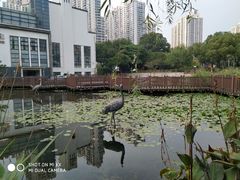 -苏州河梦清园环保主题公园