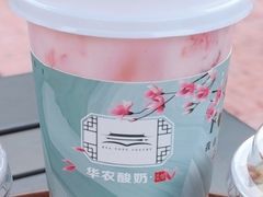 瓜甜奶夏-华农酸奶文化馆