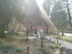 景点-景山公园