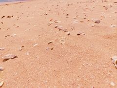 -日照海滨国家森林公园