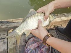 -酷鱼垂钓CLUB(朝阳区博大路店 )