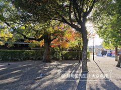 -水前寺成趣园
