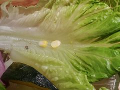 -椰夫人·养生椰子鸡(黄埔时代城店)