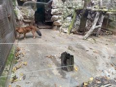 -杭州动物园