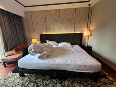 -上海崇明金茂凯悦酒店