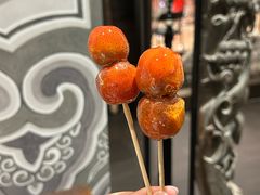 -羲和雅苑•北京烤鸭(陆家嘴中心店)