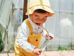 -前小桔亲子创意农场·草莓采摘·露营烧烤