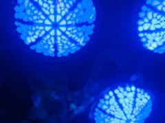 -郑州方特梦幻王国