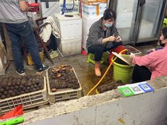 -华威西营里农产品批发市场