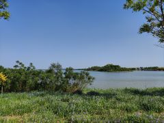 -天津东丽湖风景区