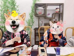 -ELEVEN桌游剧本杀轰趴馆(三里屯店)