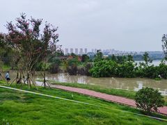 -金海湾滨江公园