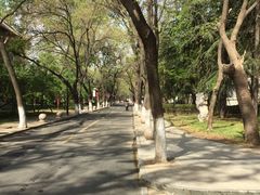 街道-山东大学(趵突泉校区)