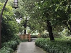 -西湖游船