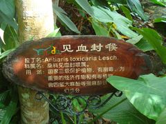 -呀诺达热带雨林
