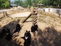-大青山野生动物园