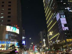 -乐天免税店(明洞店)