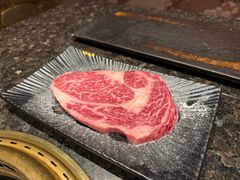 -老乾杯(深圳湾万象城店)