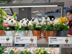 -鹿岛生活(熙地港店)