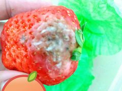 -PAGODA百果园(深圳天琴阁店)