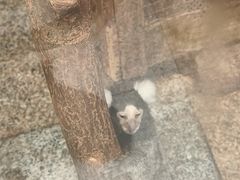-上海大自然野生昆虫馆(东方明珠·爬宠昆虫探索中心)