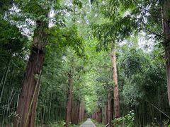 -同里国家湿地公园