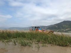 -北岐滩涂